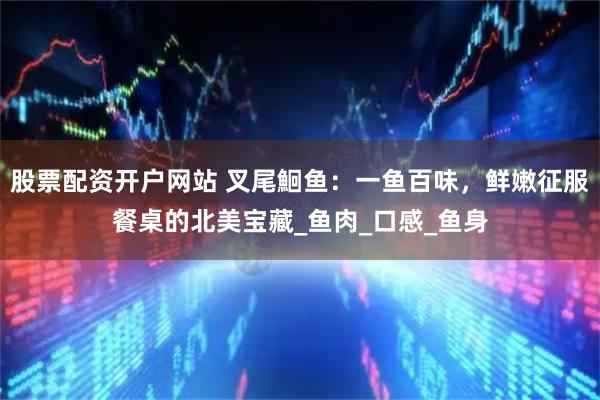 股票配资开户网站 叉尾鮰鱼：一鱼百味，鲜嫩征服餐桌的北美宝藏_鱼肉_口感_鱼身